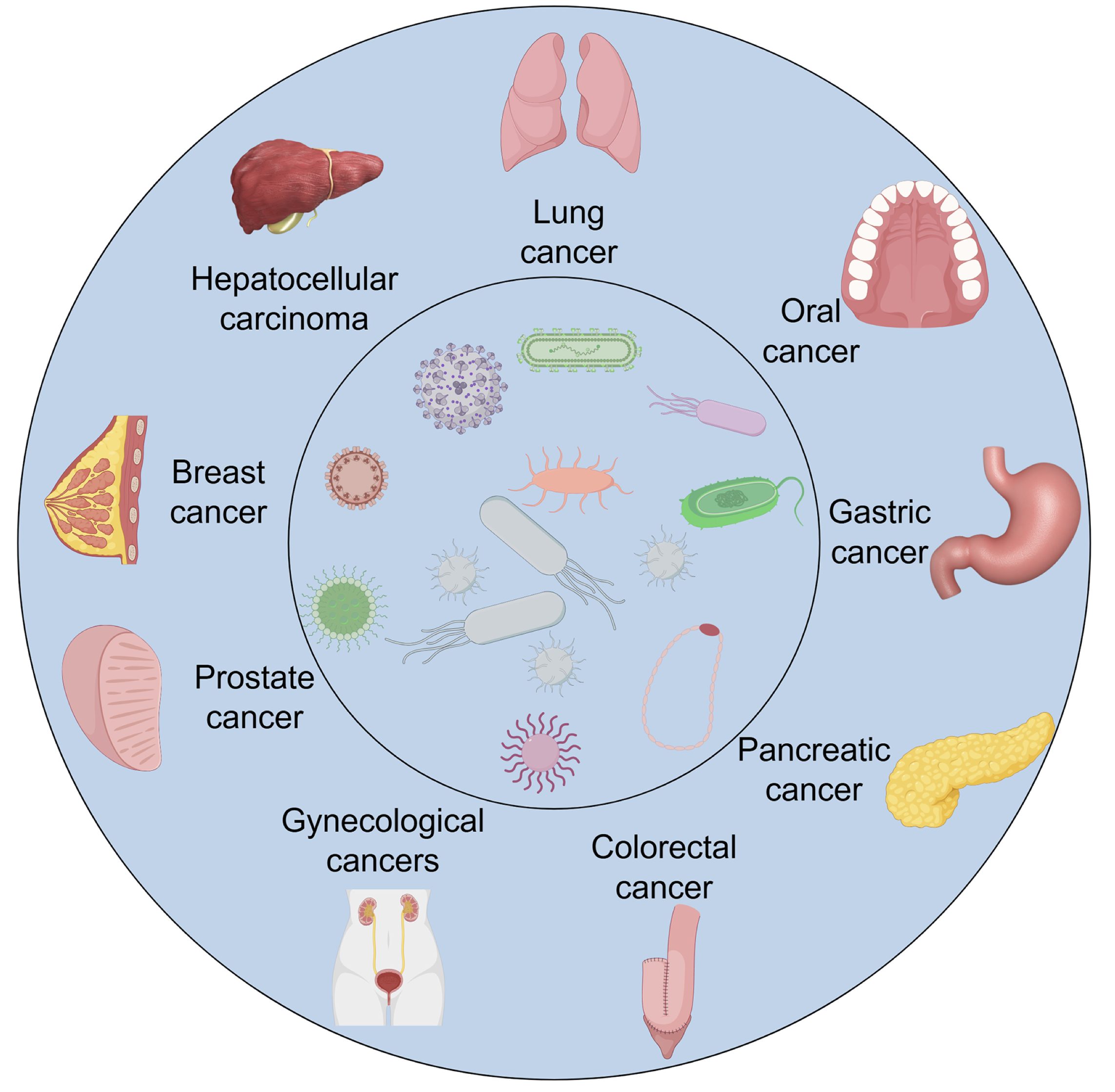 Overview of the human microbiome and its interactions with the host. The figure provides a schematic overview of the human microbiome across major anatomical sites. 