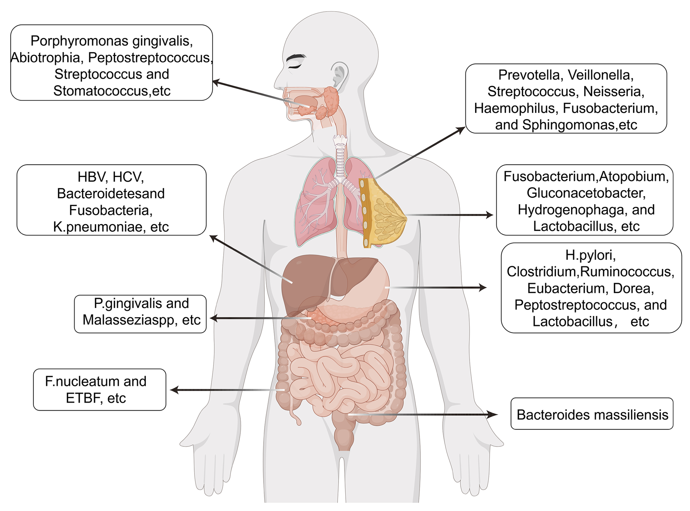 Microbiome signature and clinical implication in cancers
